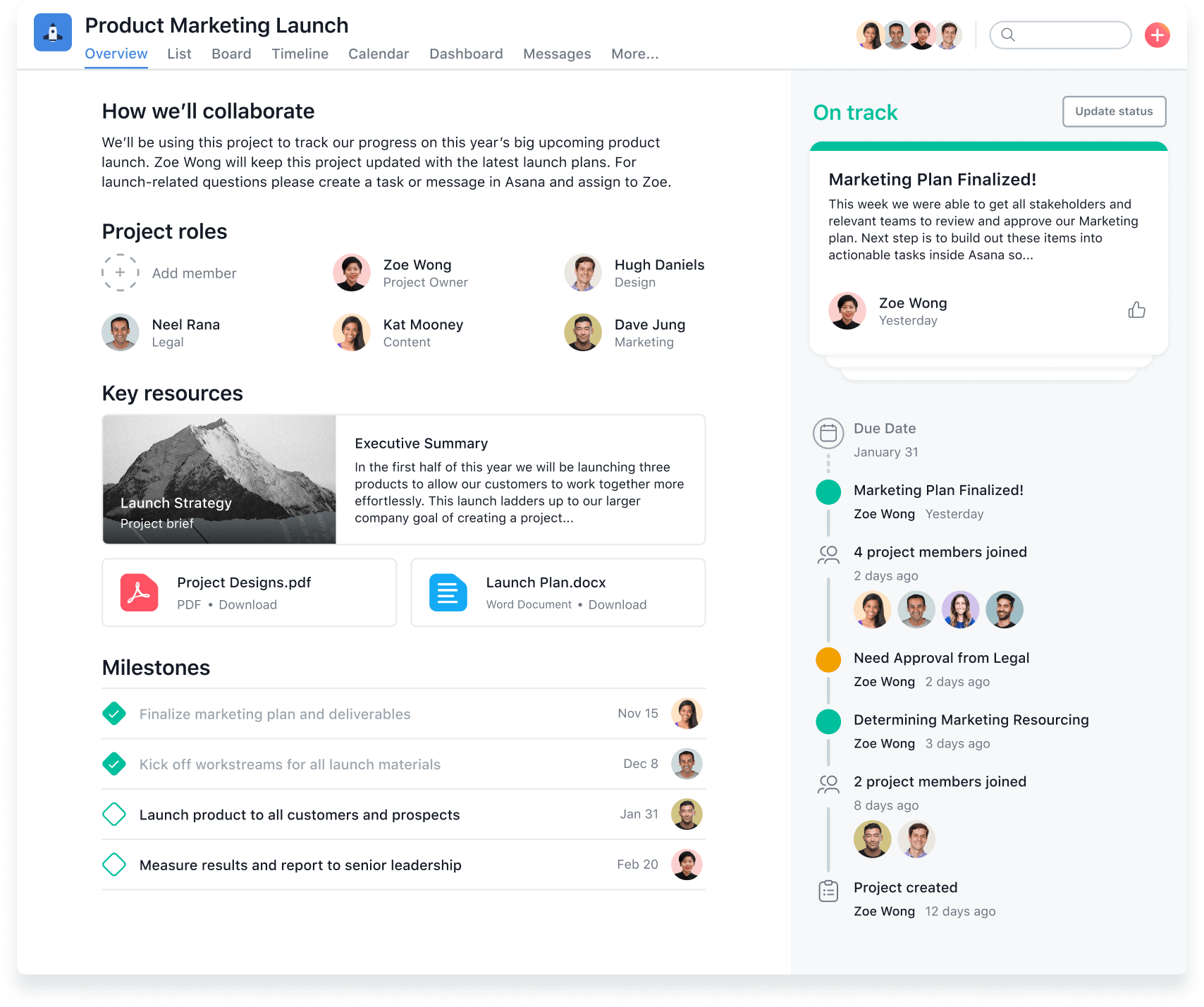 Asana Project Overview